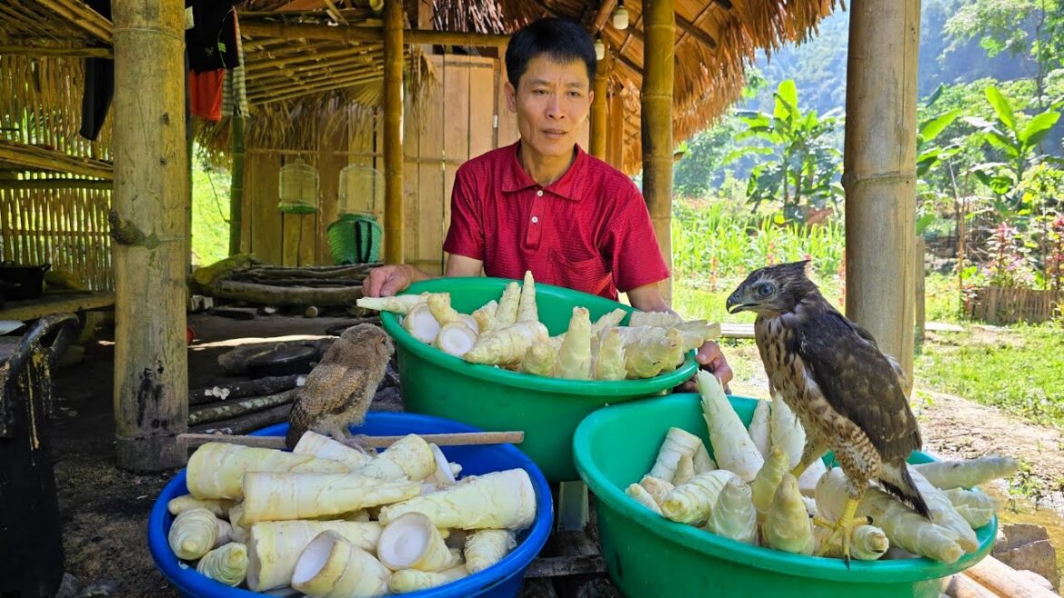 Harvest Bamboo Shoots Go To The Market Sell - Gardening - Solo Survival