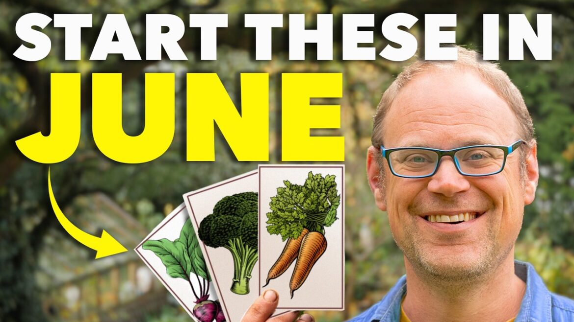 Last Chance: Sow these 7 Crops in June Last Chance: Sow these 7 Crops in June