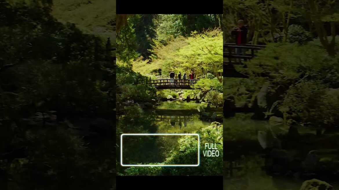 Shot Cinematically | Portland Japanese Garden 4K UHD