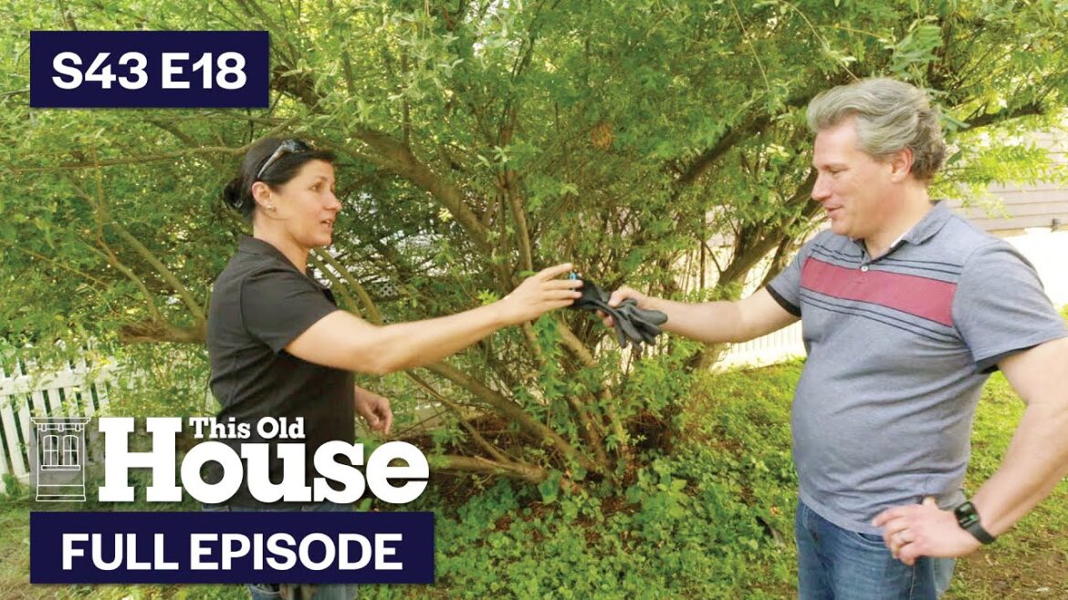 This Old House | Pruning 101 (S43 E18) FULL EPISODE