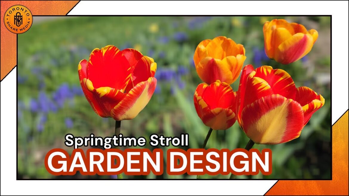 Springtime Stroll - Relaxing Day Rudy's Garden Design and Beautiful Tulips - Spring Season