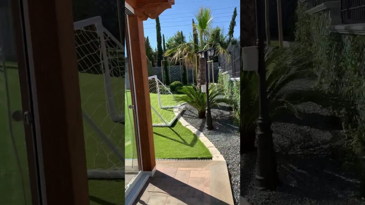 Backyard Landscape design🍀✨#youtubeshorts #backyard #shorts #youtubealgorithm #viral #trend #india