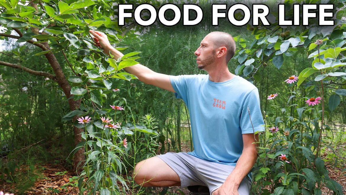 James Prigioni: Plant This Once and it will Feed You Forever… Plant This Once and it will Feed You Forever…
