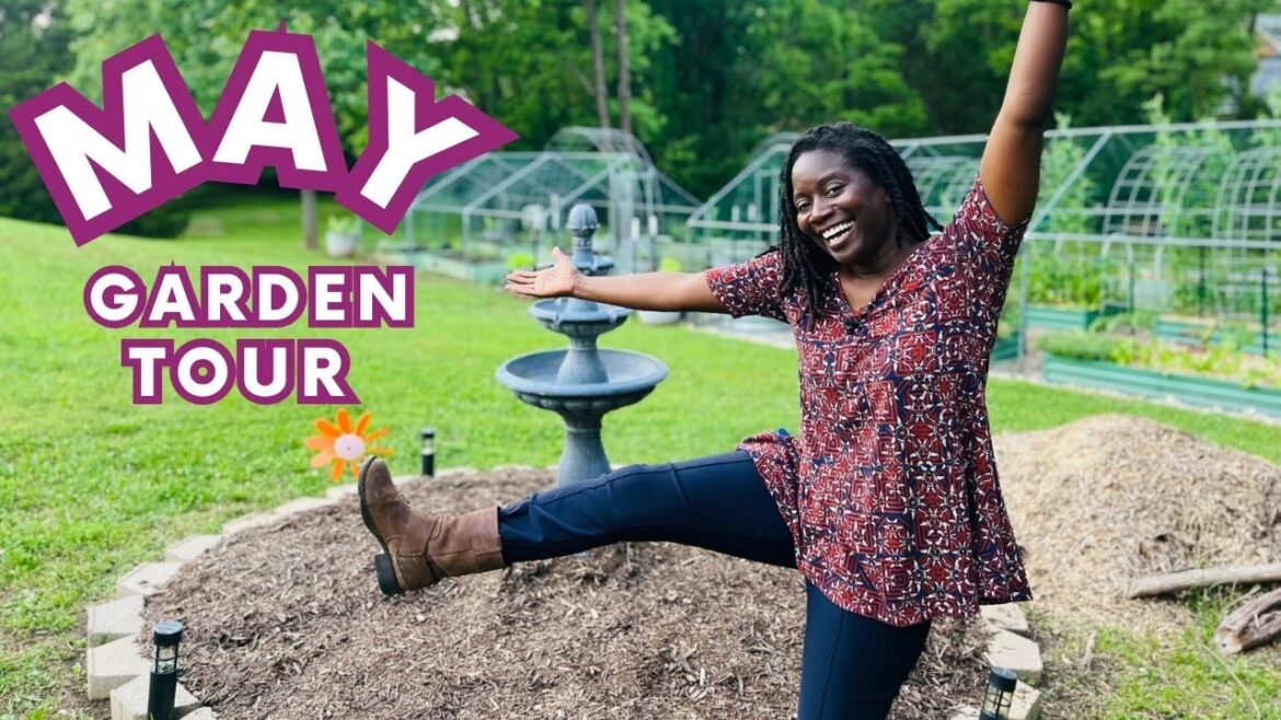 🌿 Energizing May Garden Tour: Beginner Gardener🌱