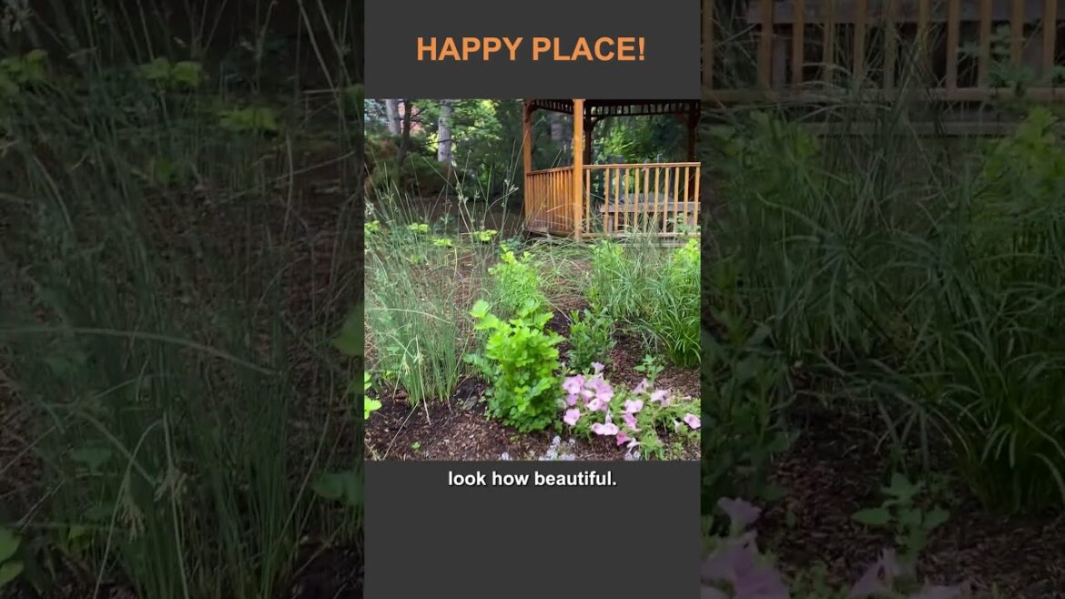 Edible Landscape Tip: Add Celery Plants to Make a Stunning Flower Bed