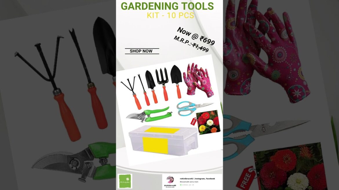 🌱💸Budget-Friendly Gardening within ₹1,500 " #CheapGardening  #BudgetFriendlyGarden