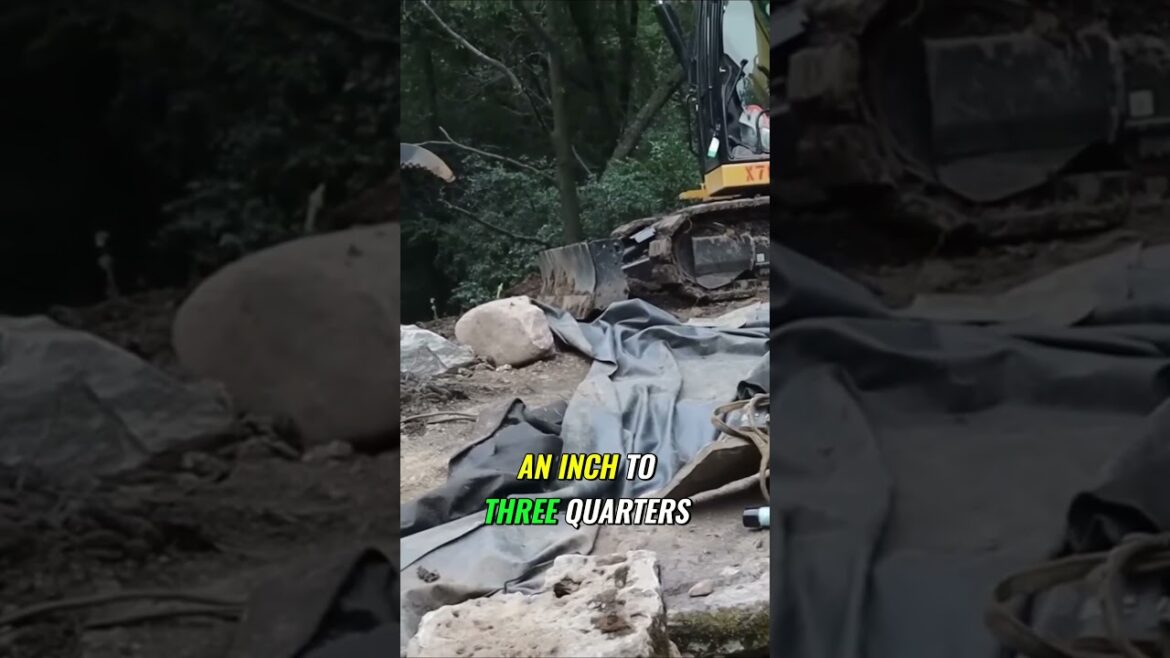 Designing Stunning Garden Pathways  Elevations and Landscaping Ideas