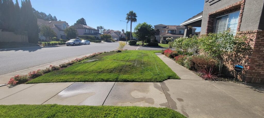 Any idea whats happening with my new grass installed 3 months ago ?