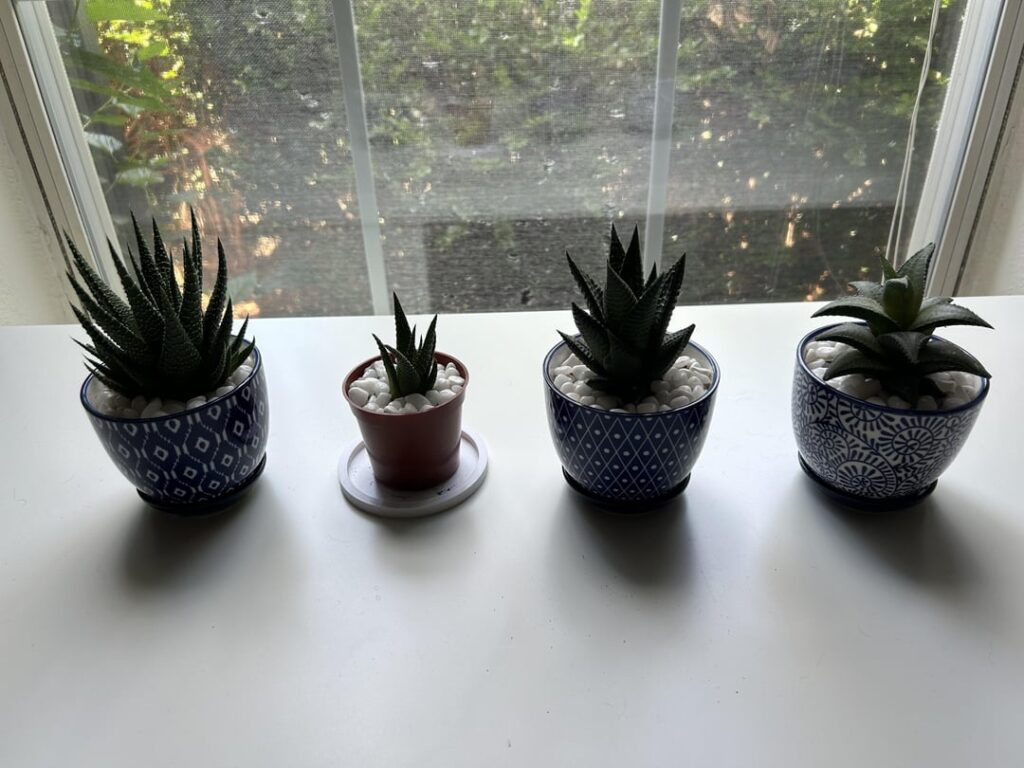 When to water? When to water?