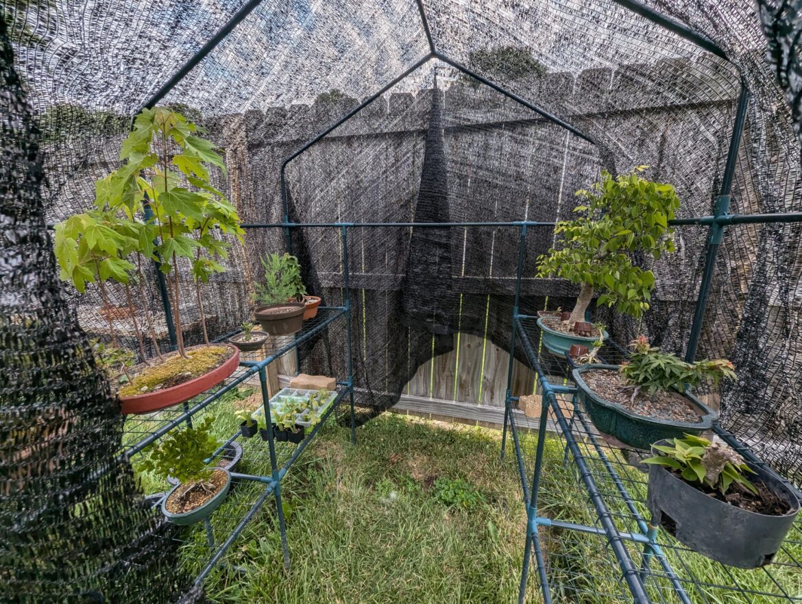 Converting greenhouse into shade tent