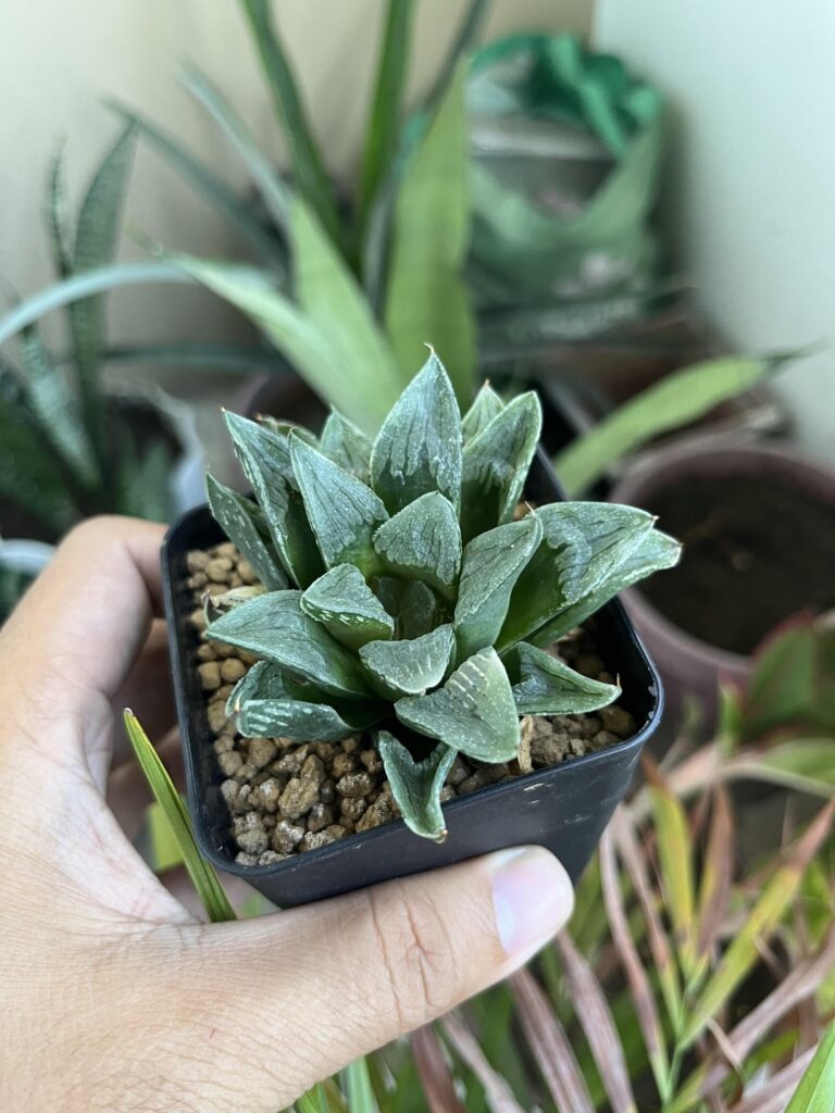 Id help?
