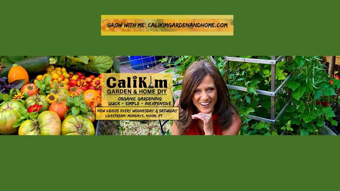 ☀️LIVE: June Garden Must Do's to Stay Ahead of the Summer Heat