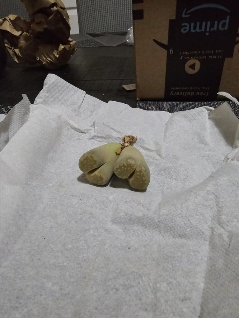 I thought it was a stone stuck..