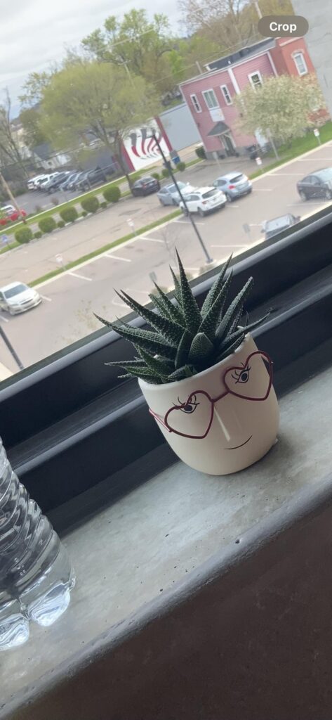 My first plant baby.
