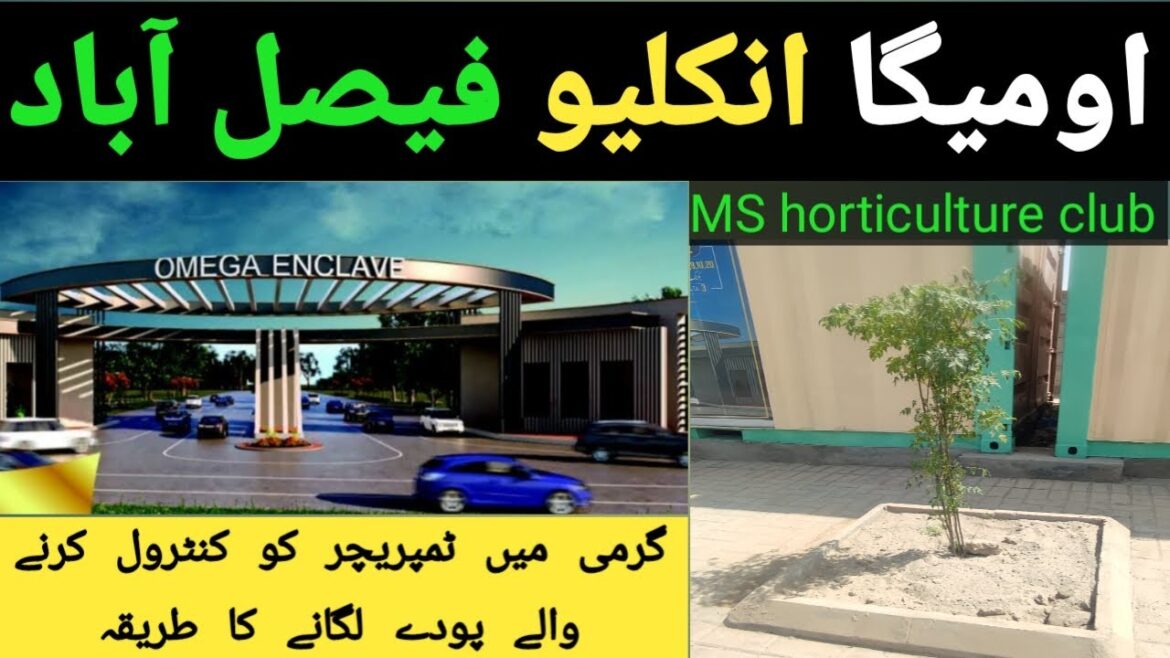 OMEGA Residencia Sargodha Road Faisalabad OMEGA enclave FSD Temperature reducing plants How to apply