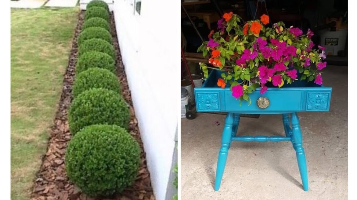 Ideas for small garden design | Small yard landscaping ideas