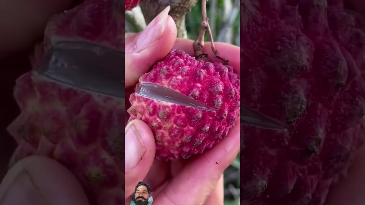 #naturelife #fruit #luxury #garding #gardening