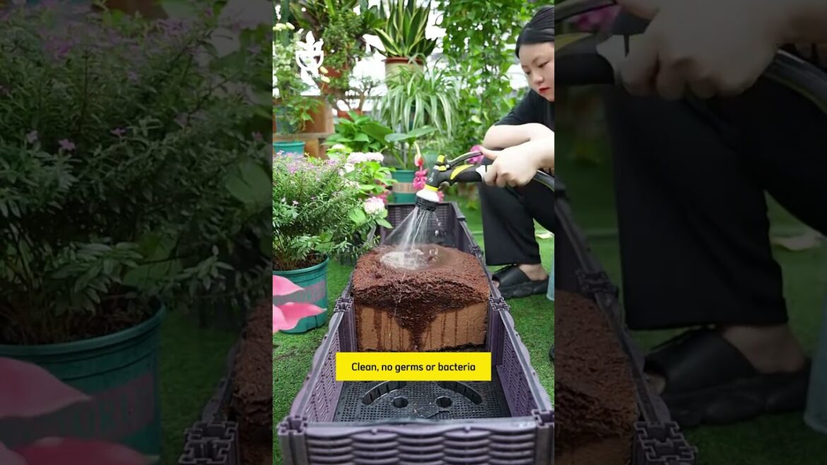 Do you know this super convenient type of soil? #garden #namrose #gardening