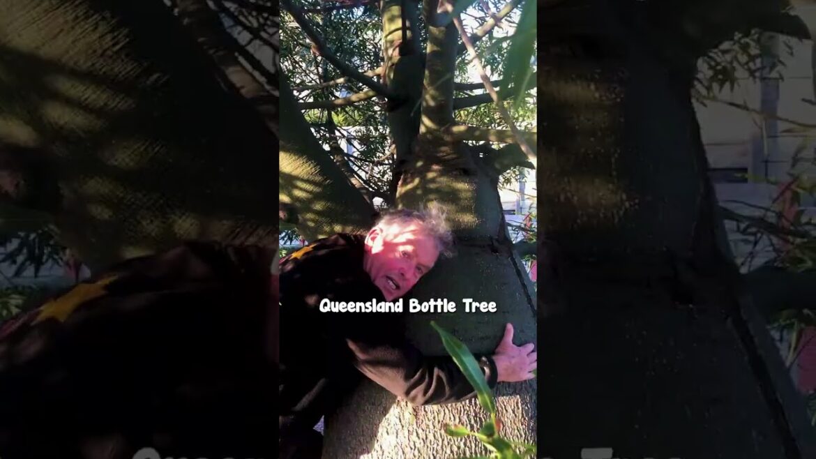 Come With Us On a Content Shoot For Our Plant Nursery