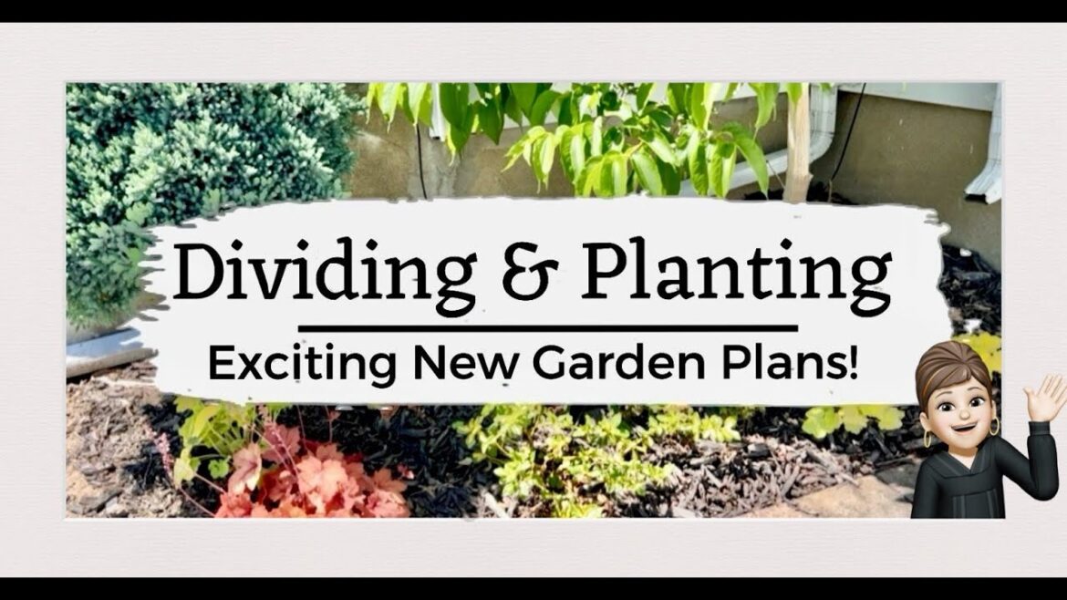 What’s New Exciting Garden Plans Dividing and Planting #garden #diy #gardening #tour #plants #patio What's New Exciting Garden Plans Dividing and Planting #garden #diy #gardening #tour #plants #patio