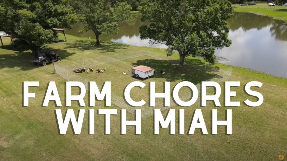 Roots and Refuge Farm: Milking Madness (Farm Chores with Miah) | VLOG Milking Madness (Farm Chores with Miah) | VLOG