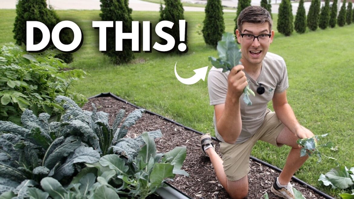 This Uncommon Garden Style Helps You Grow Year Round in Less Space!