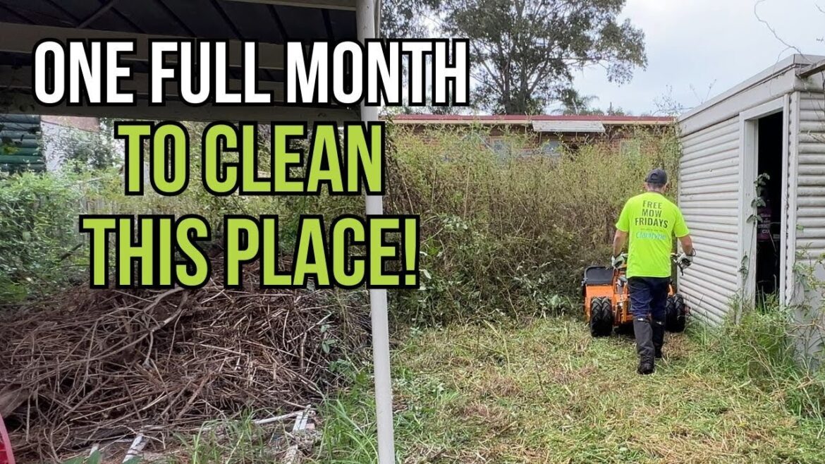 It took an ENTIRE MONTH to Clean Up this Place! Free Mow Fridays It took an ENTIRE MONTH to Clean Up this Place! Free Mow Fridays
