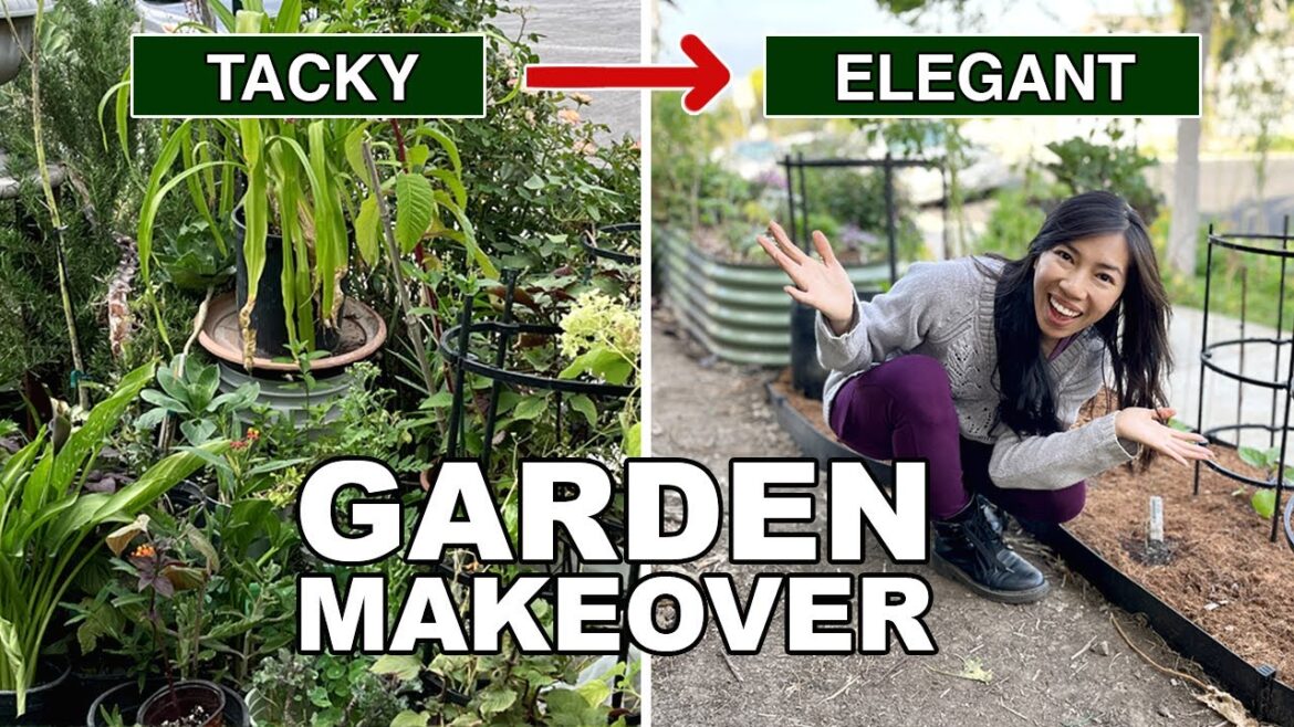 This Garden Makeover Requires Very Little Skill: Step-by-Step explained!