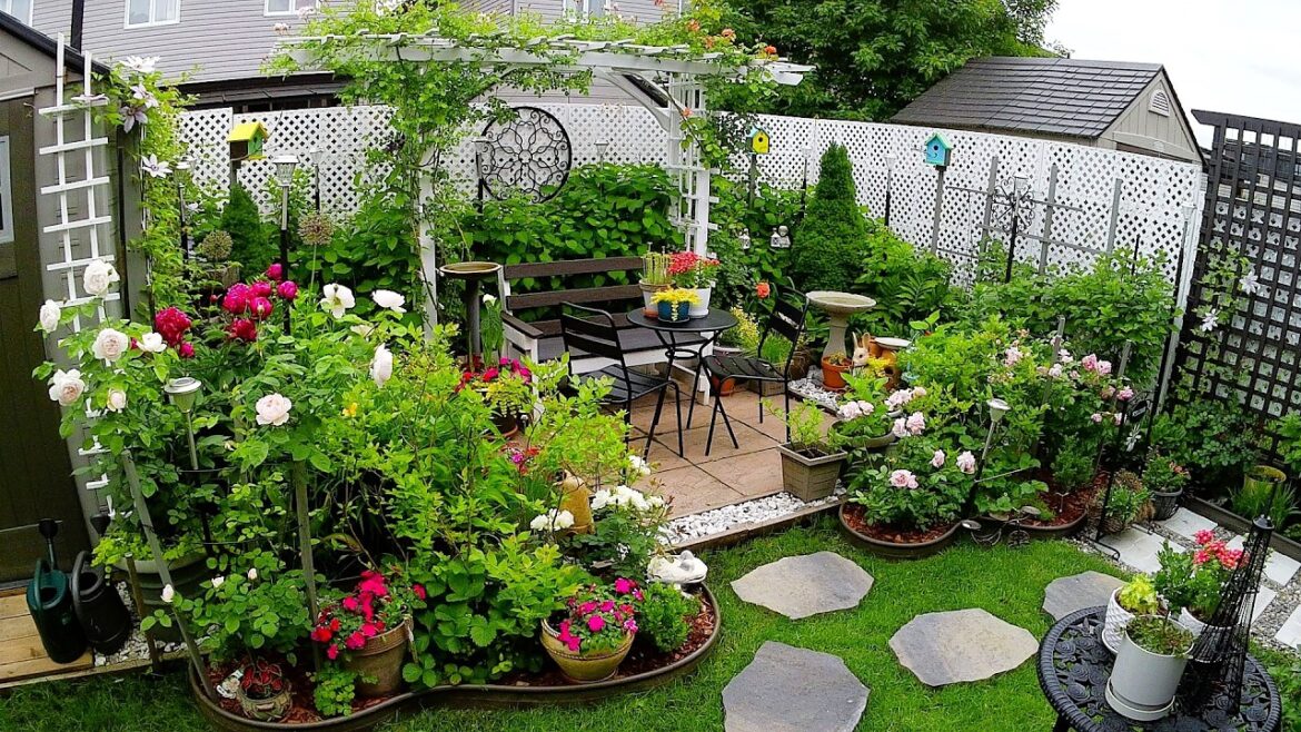 START OF SUMMER COME SEE  OUR TINY GARDEN | Plants and Flowers #garden #plants #flowers #new #rose