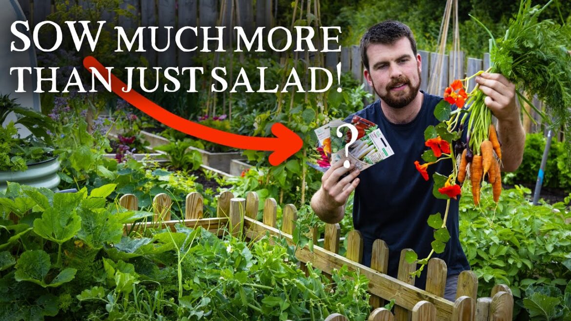 Huw Richards: What to Sow in July: Vegetables, Herbs, and Edible Flowers! What to Sow in July: Vegetables, Herbs, and Edible Flowers!
