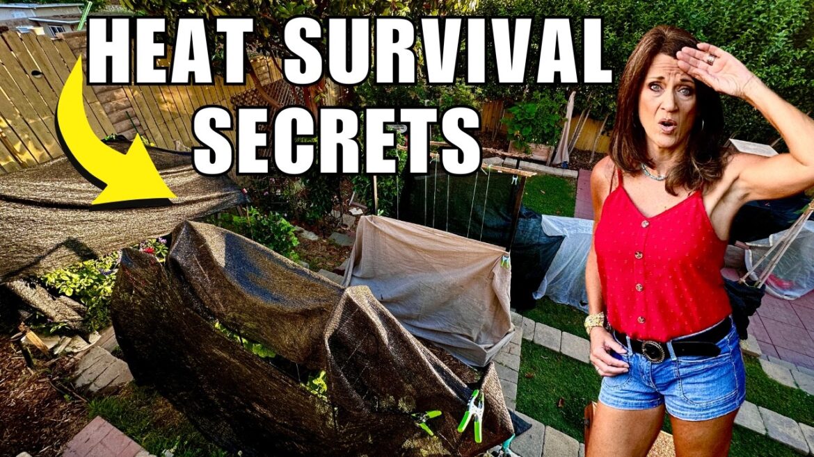 Extreme Heat Emergency: Secret Weapons for Garden Survival