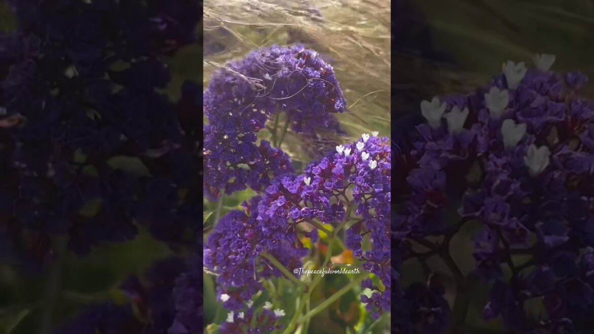 Garden Tips For Beginners! #shorts #short #viral #trending #youtubeshorts #video #shortvideo #music