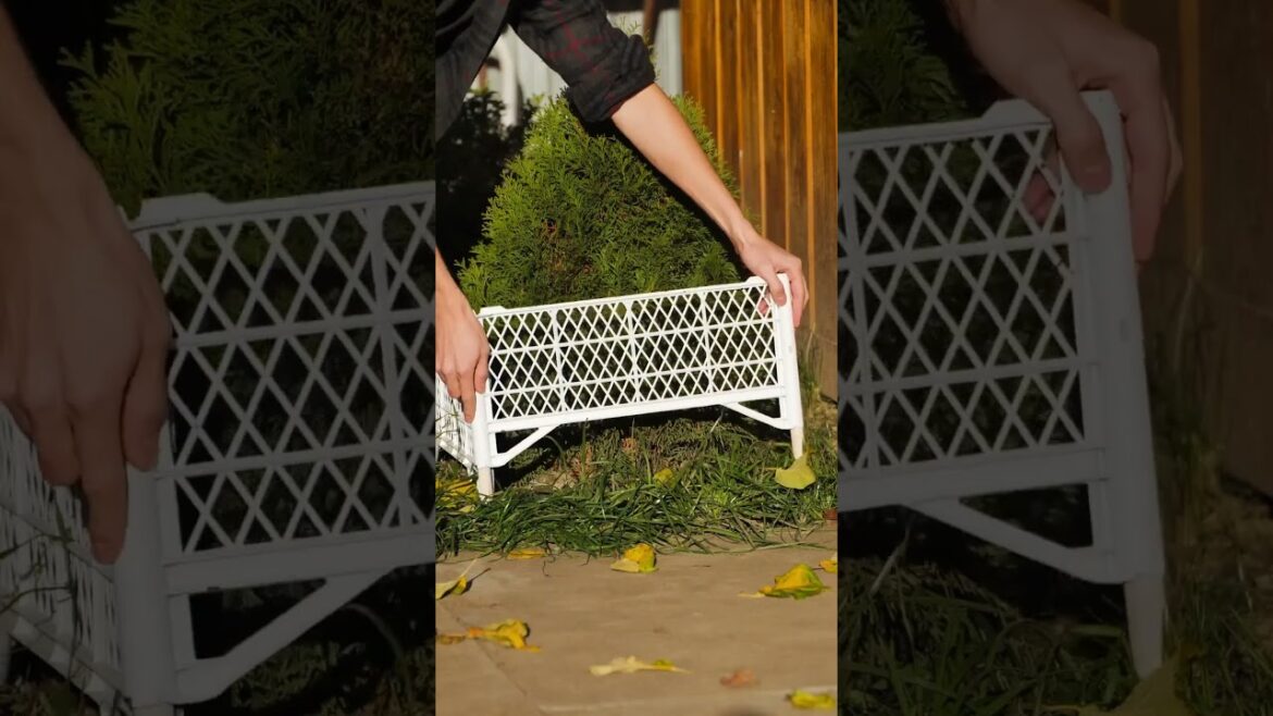 🌿 3 Easy garden transformation ideas🌱 #cement #diy 🌿 3 Easy garden transformation ideas🌱 #cement #diy