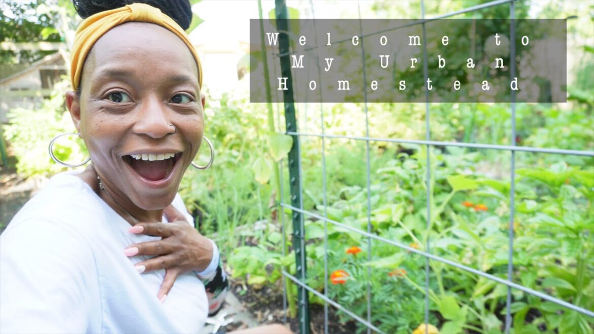 Urban Homestead/Garden Tour | No Pruning & Watering With A Sprinkler | A Garden Surprise (Girl Naw)