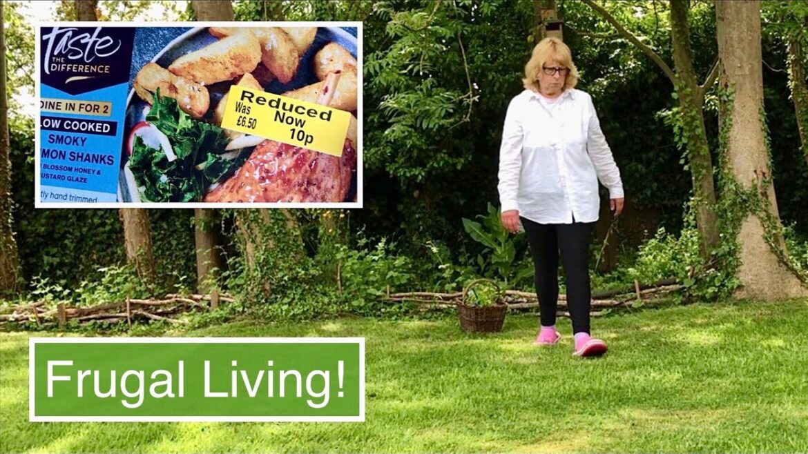 GREAT DEALS ! | CONTAINER GARDENING | FRUGAL LIVING VLOG GREAT DEALS ! | CONTAINER GARDENING | FRUGAL LIVING VLOG