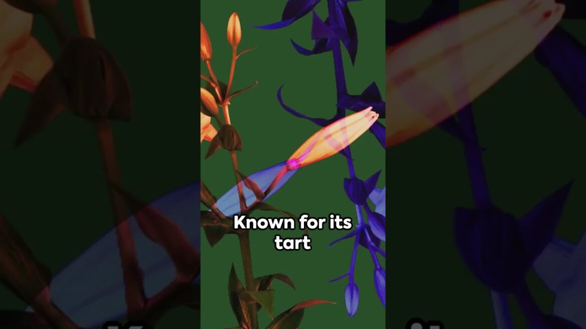 Edible Blooms-Top 5 Flowers You Can Eat #flowers #edibleflower #edibleflowers #ediblegardening Edible Blooms-Top 5 Flowers You Can Eat #flowers #edibleflower #edibleflowers #ediblegardening