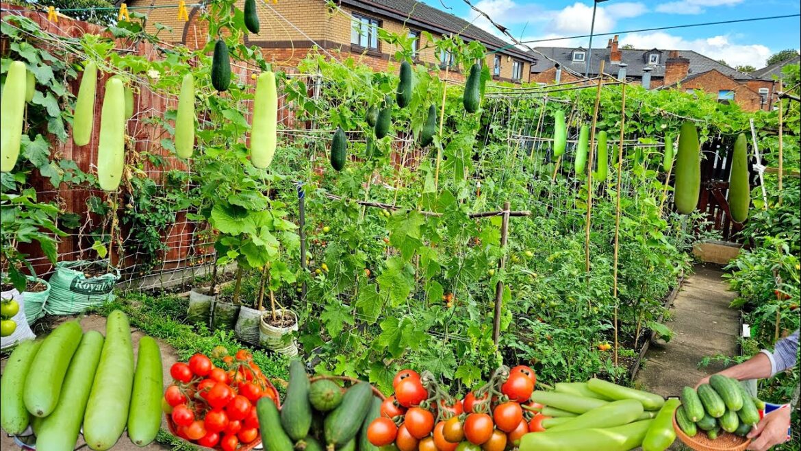 Gardening ideas for home | vegetable gardening ideas for home | planting ideas at home