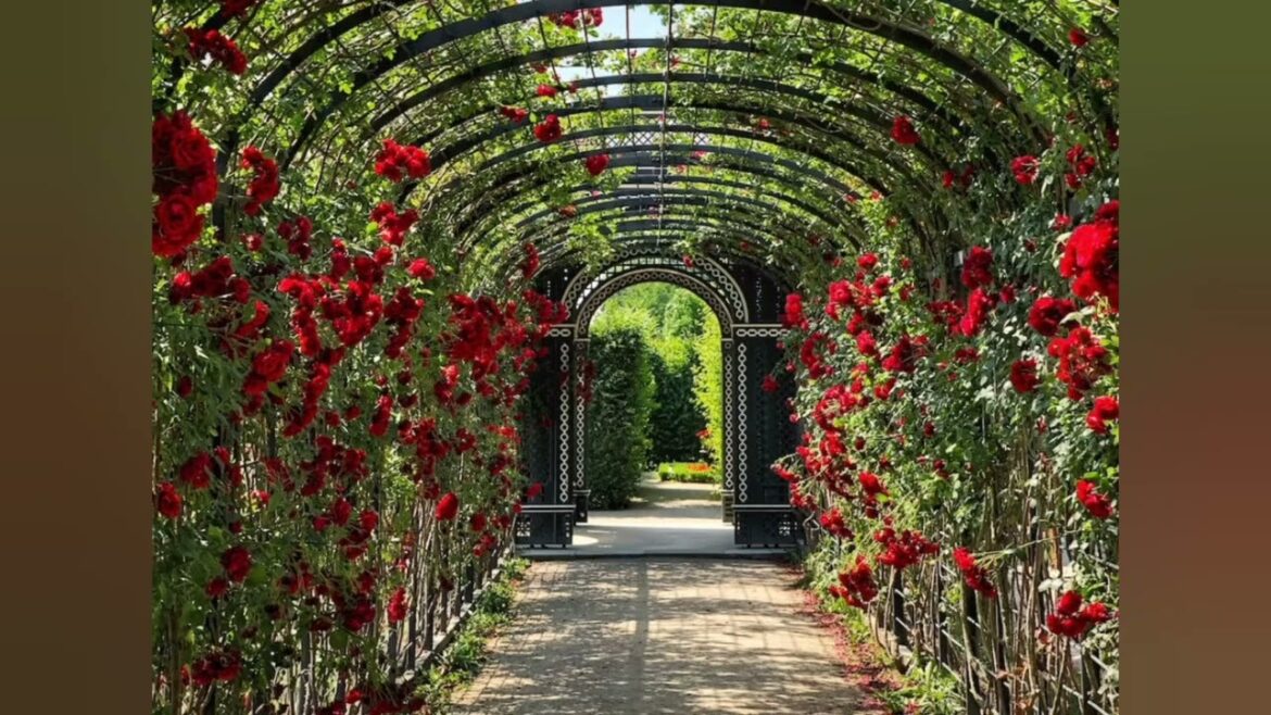 Wonderful Front Yard Landscaping Ideas - Entryway Ideas