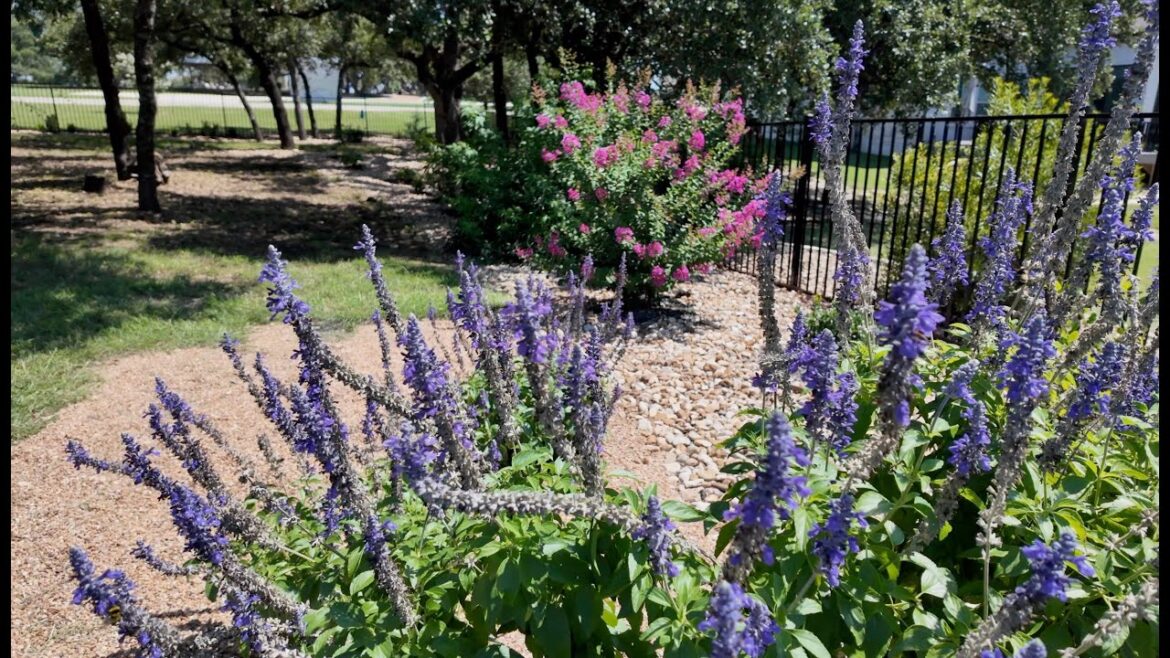 So Excited for This Backyard Landscaping Project!! Tour of Plans! # garden tour, #￼proven winners 4K