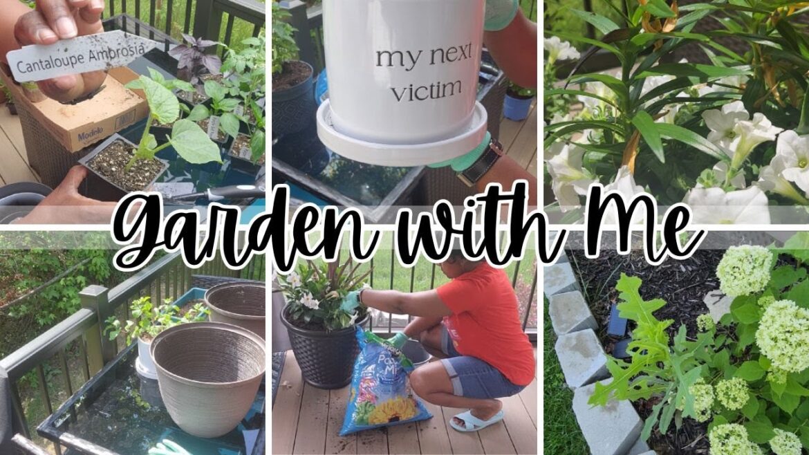 GARDEN WITH ME | GARDEN TOUR | CONTAINER GARDENING