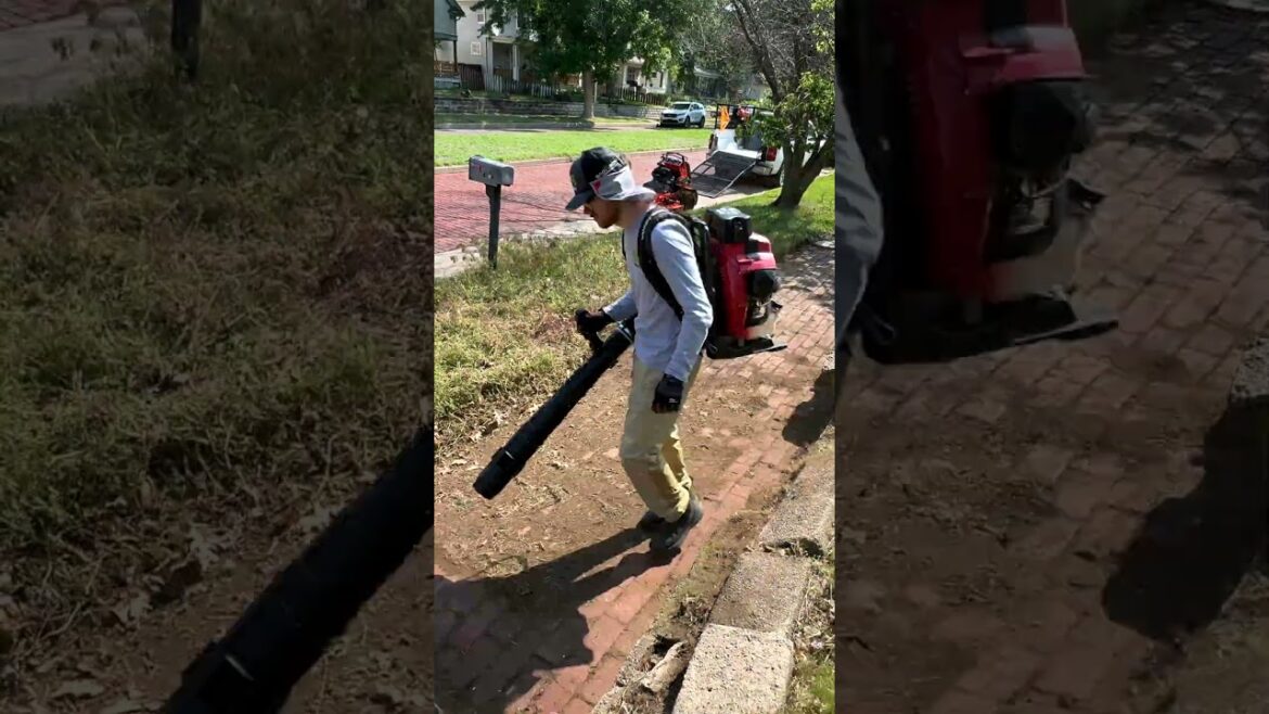 I stumbled upon this BURIED brick pathway and SCRAPED it clean I stumbled upon this BURIED brick pathway and SCRAPED it clean