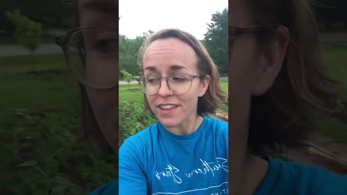 Permaculture zones and our front yard garden #permaculture #vegetablegarden Permaculture zones and our front yard garden #permaculture #vegetablegarden