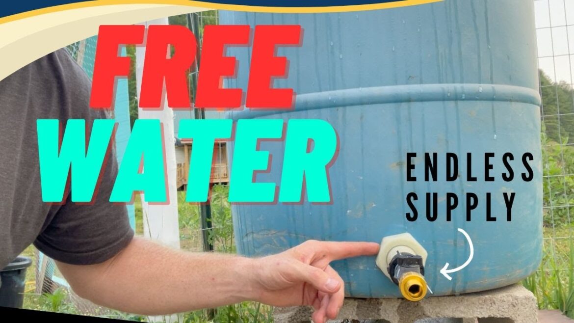 ❗️Free Water ❗️Endless supply for your Garden. Easy DIY❗️ ❗️Free Water ❗️Endless supply for your Garden. Easy DIY❗️