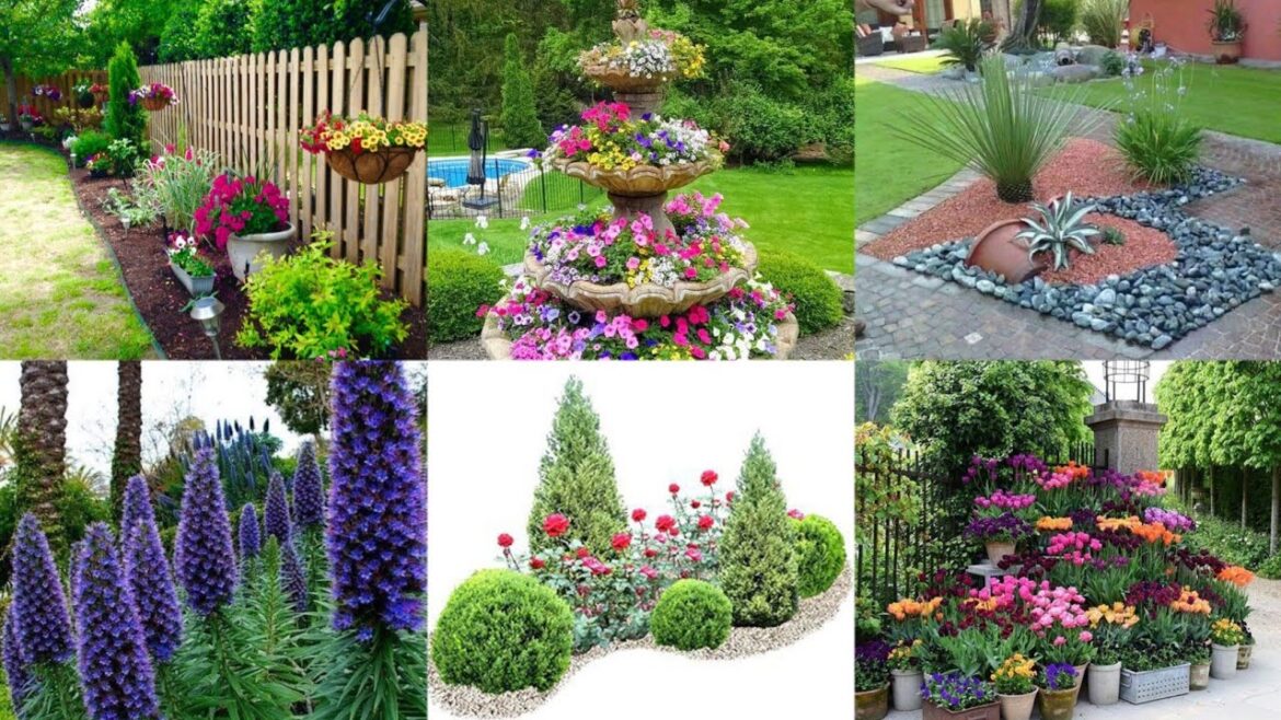 Top 100 garden decor ideas | Garden decoration with colourful flowers Top 100 garden decor ideas | Garden decoration with colourful flowers