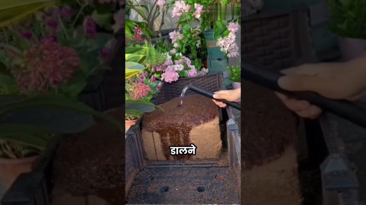 Cocopeat Block| #gadgets #gardening #homedecor #unique #garden #home #gadgetshop Cocopeat Block| #gadgets #gardening #homedecor #unique #garden #home #gadgetshop