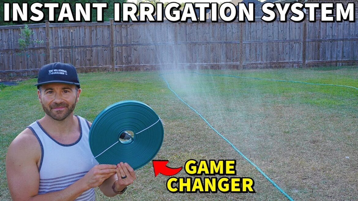 Water Your Plants The EASY Way WITHOUT Drip Irrigation!