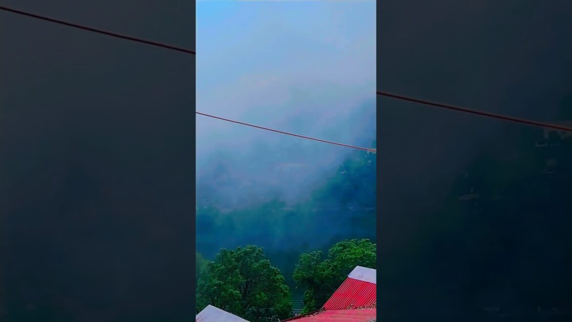 Nainital Lake 🥰🥰#nanitaal #garden #nature #natural #beautiful #shortsfeed #shorts #lake #hillstation