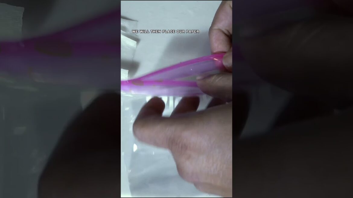 Seed Germination Trick: Speed Up Your Seed Sprouting!