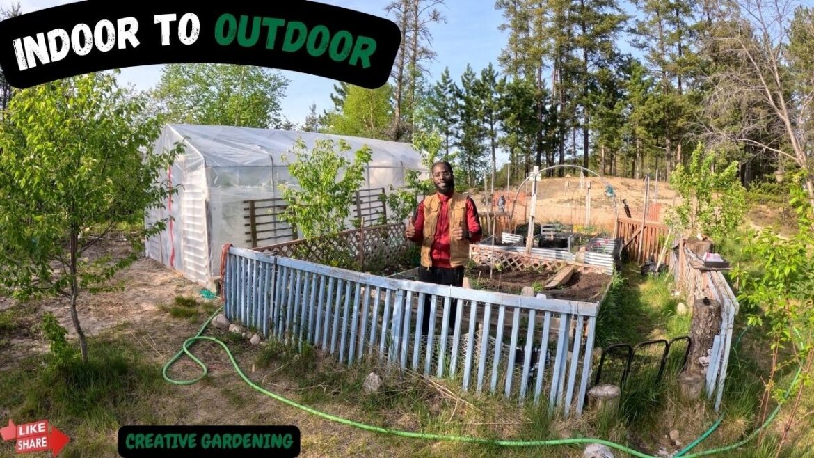 Turning my backyard into a GARDEN PARADISE! #garden