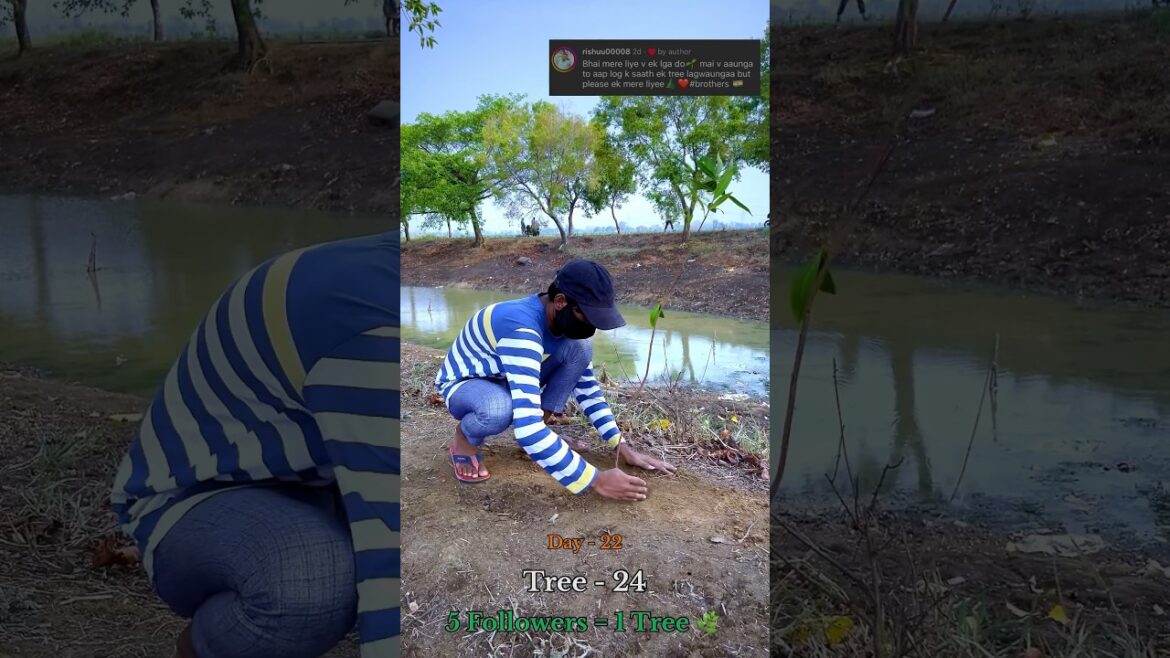 5 Subscribers = 1 Tree πΏ #short #shorts #video 5 Subscribers = 1 Tree πΏ #short #shorts #video